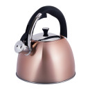  Чайник Kamille 3л із нержавіючої сталі зі свистком та чорною бакелітовою ручкою для індукції